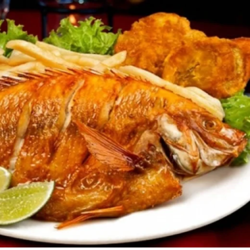 MOJARRA ROJA