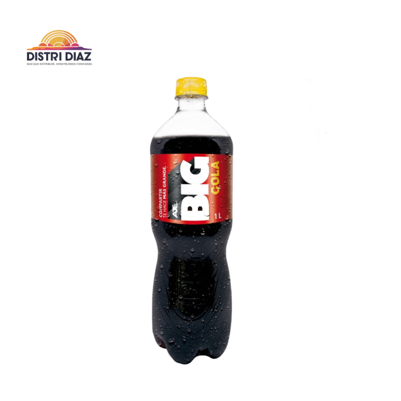 GASEOSA BIG COLA NEGRA 1000 ML X9 UNDS